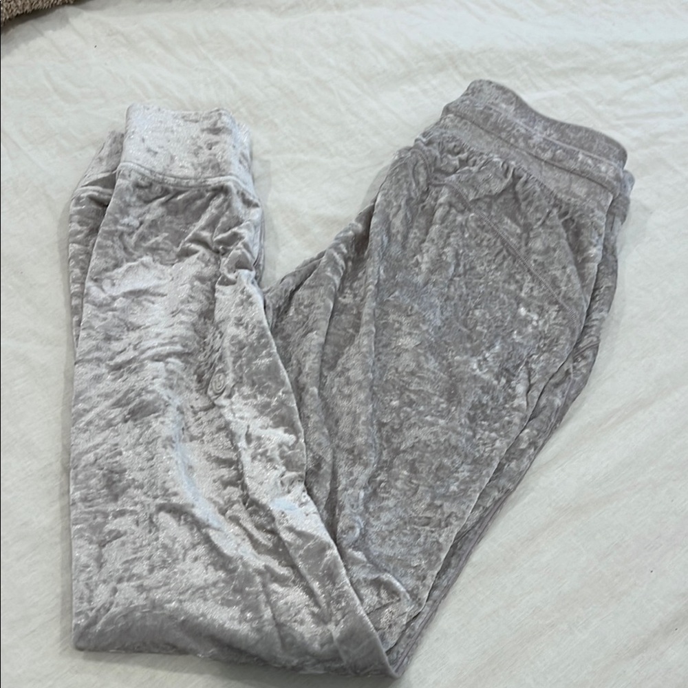 Velvet Jogger Pants in Silver Gray